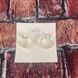 Aster Petunia Hoops